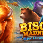 Bison Madness PrizeTower slot game interface